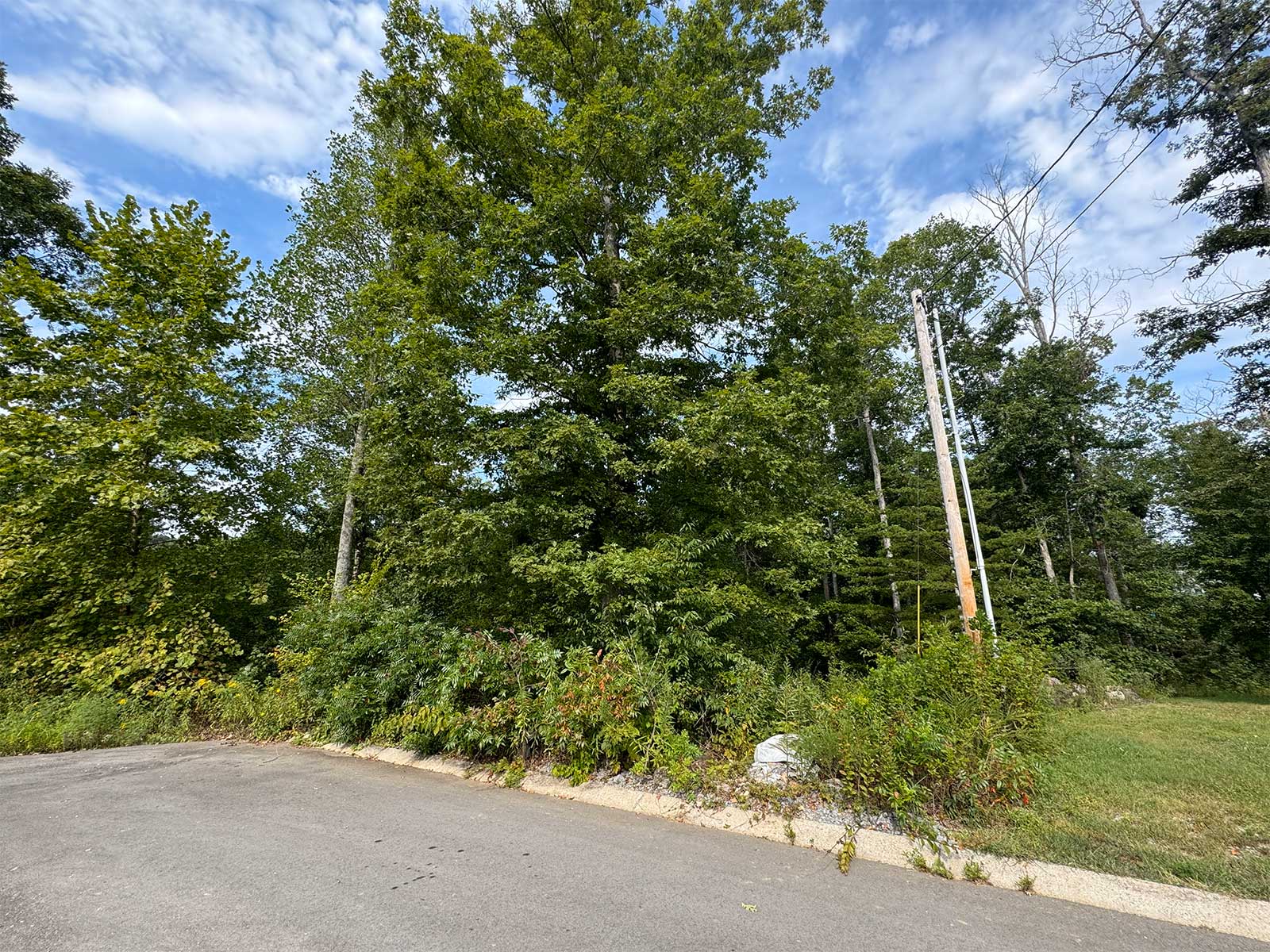 Whites-Bluff,-TN01